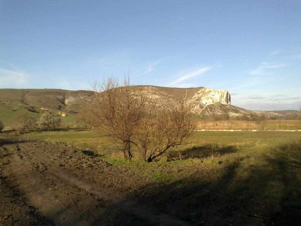 Білокузьминівка з panoramio.com - Білокузьминівка