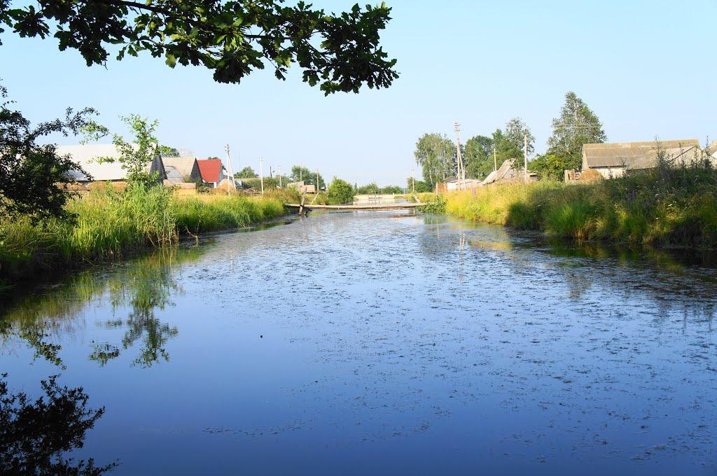 Мельники-Річицькі з panoramio.com - Мельники-Річицькі