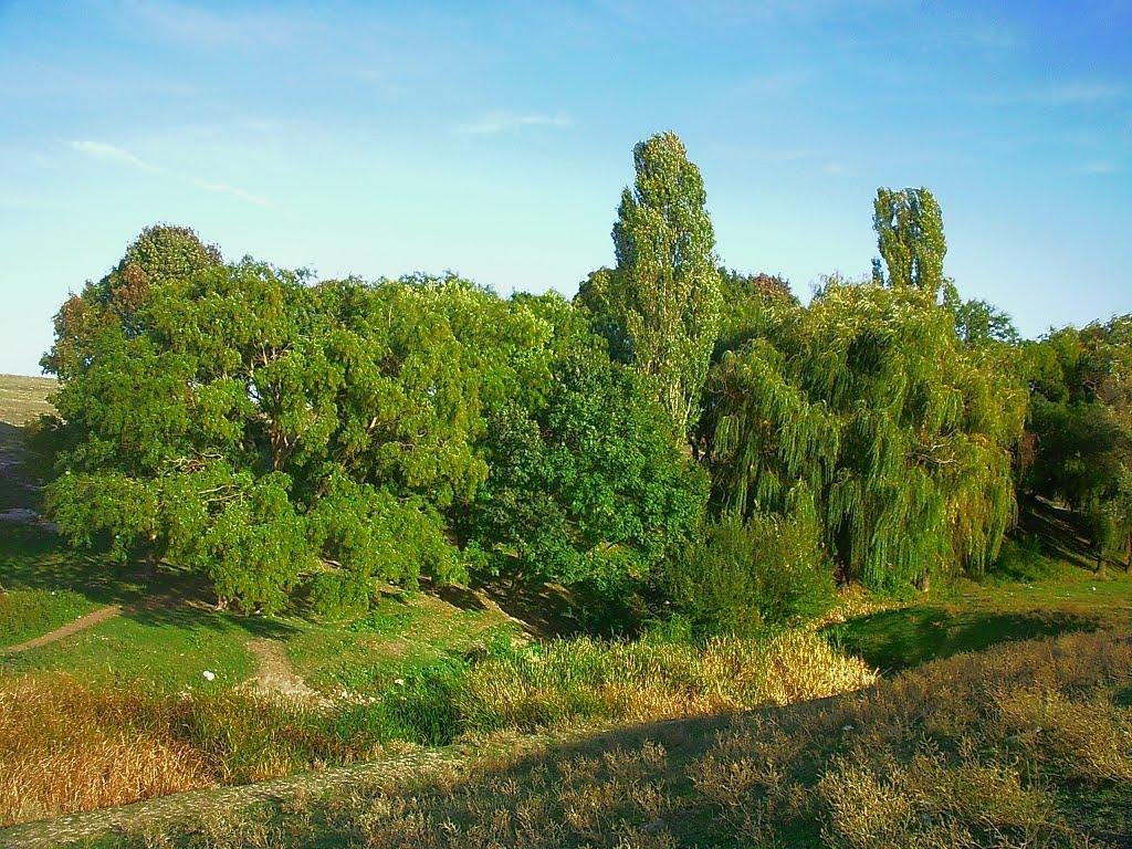 Трудове з panoramio.com - Трудове