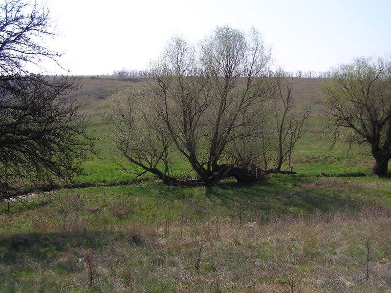 Євпаторія з panoramio.com (ч.6) - Евпатория
