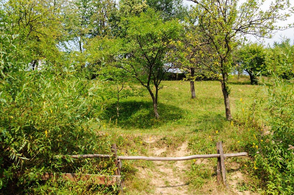 Вишка з panoramio.com - Вишка