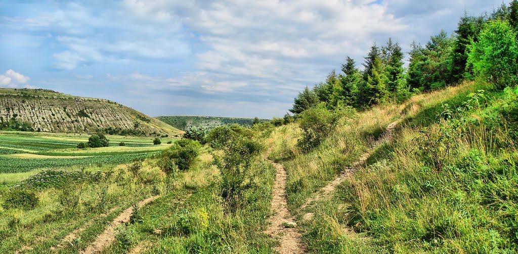 Мушкарів з panoramio.com - Мушкаров