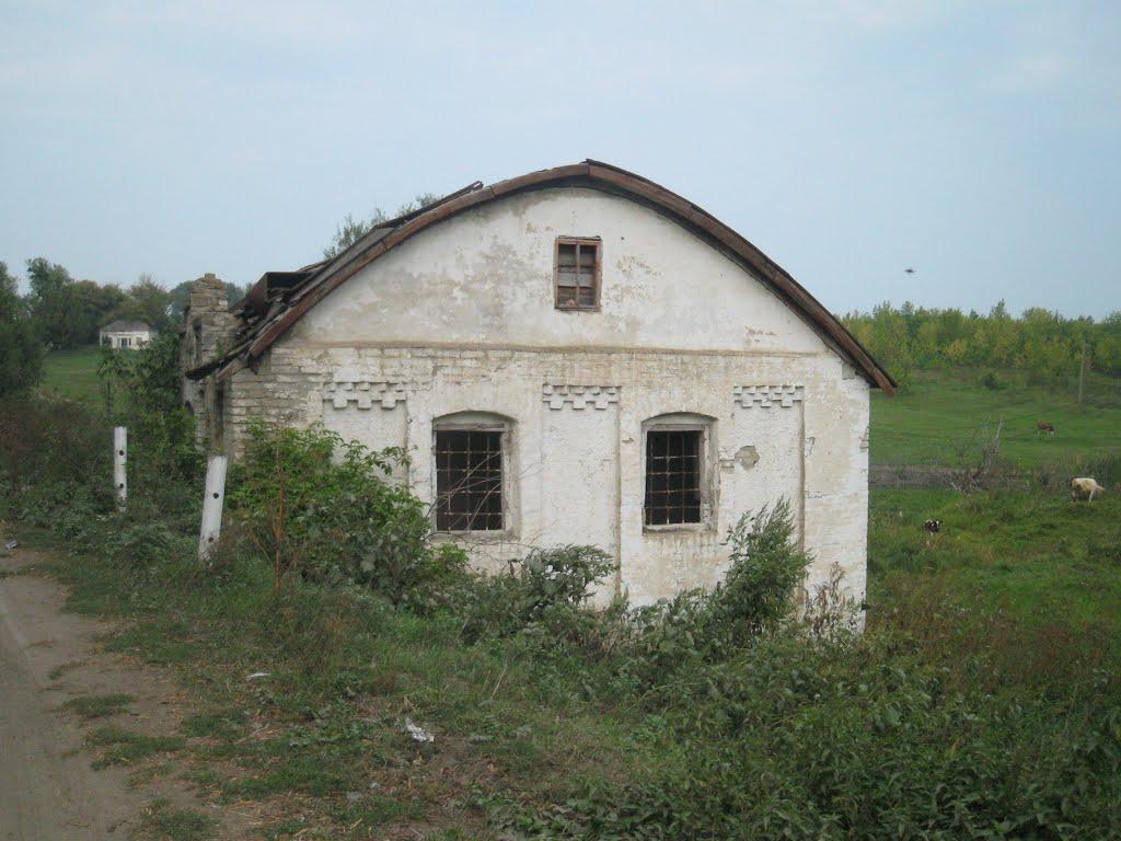 Вільнопілля з panoramio.com - Вільнопілля