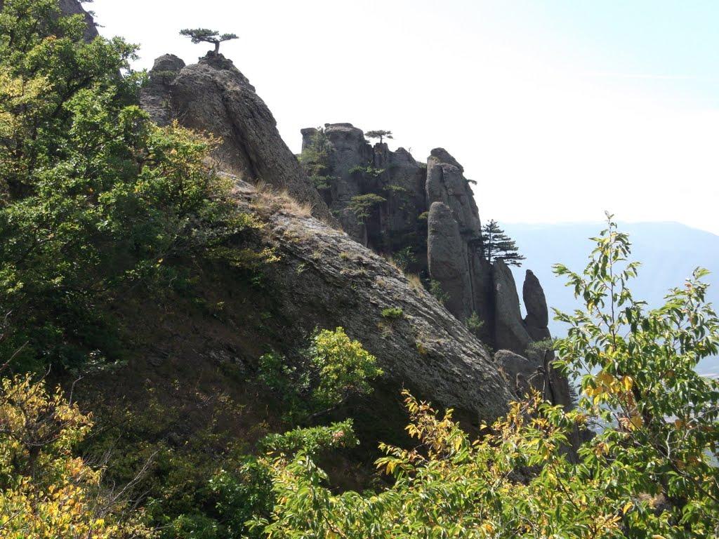 Лучисте з panoramio.com (ч.2) - Luchyste