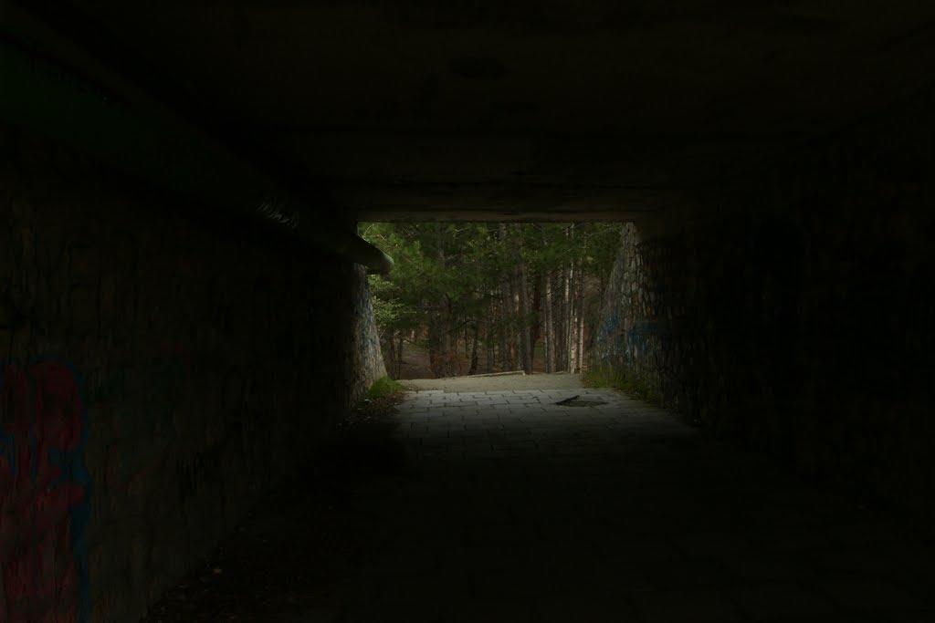 Гаспра з panoramio.com (ч.2) - Гаспра