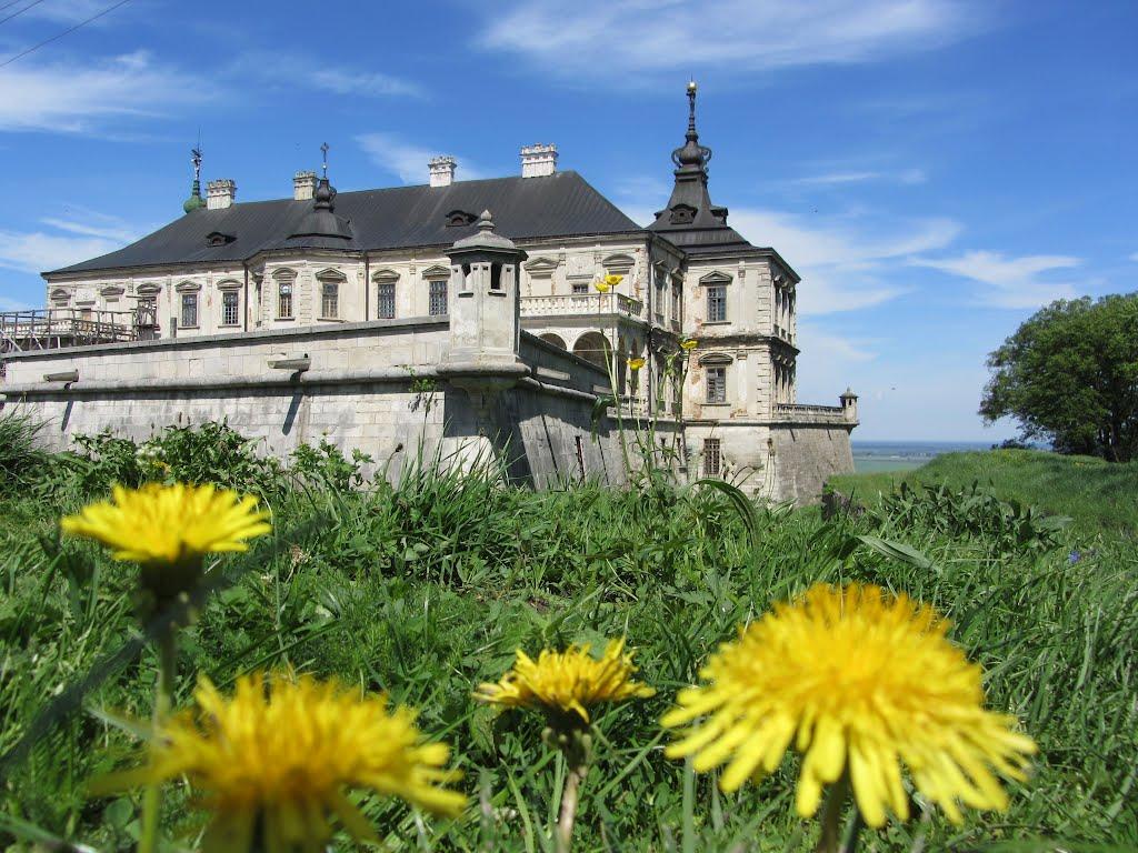 Підгірці з panoramio.com - Підгірці