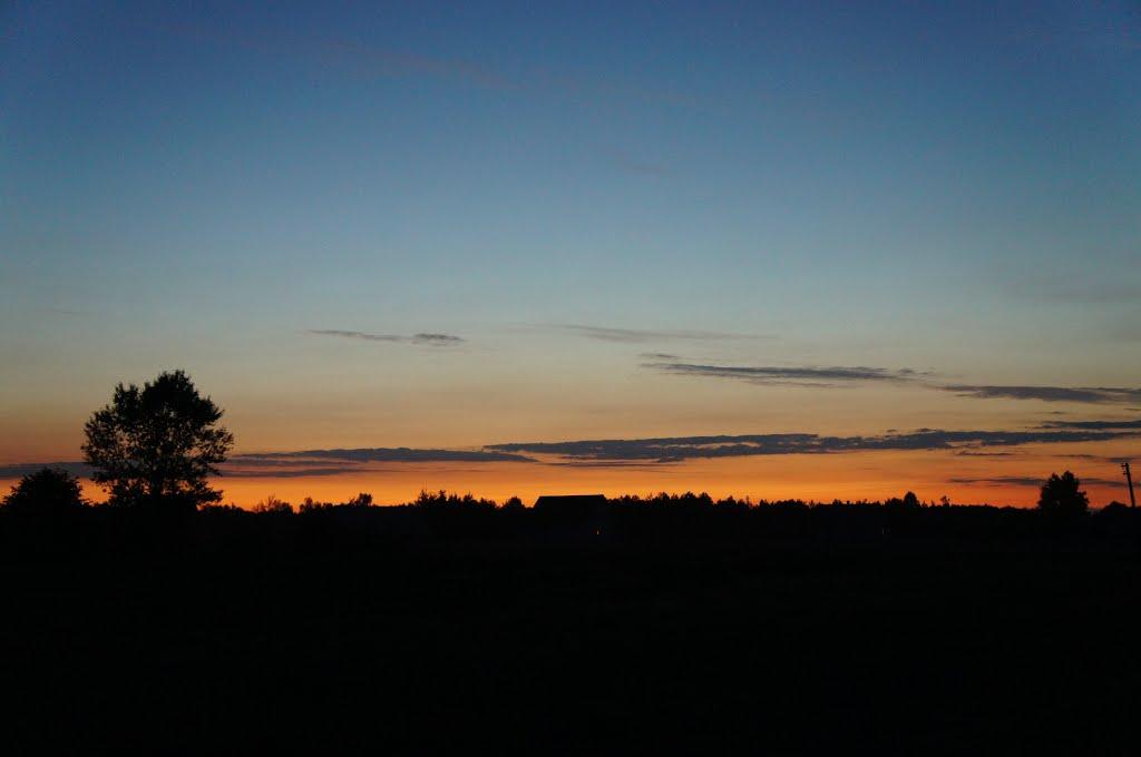 Мельники-Річицькі з panoramio.com - Мельники-Річицькі