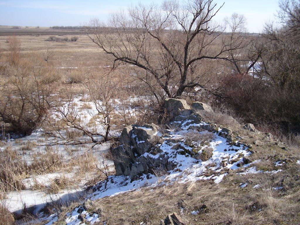 Білоцерківка з panoramio.com - Білоцерківка