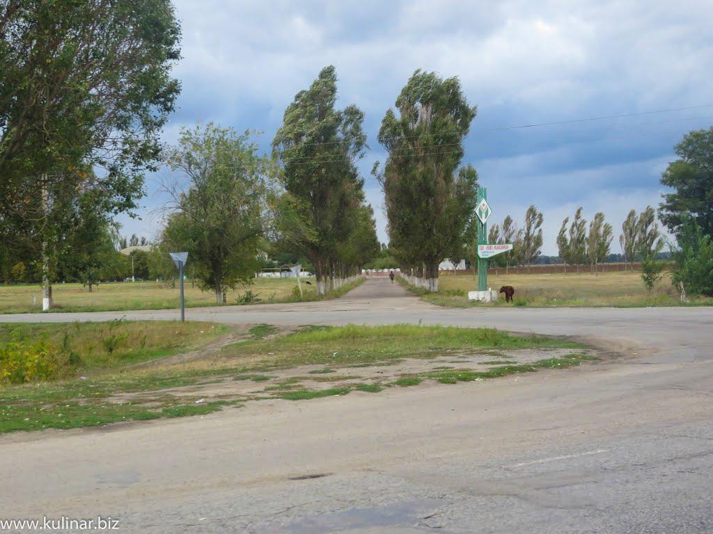 Новогорівка з panoramio.com - Новогорівка