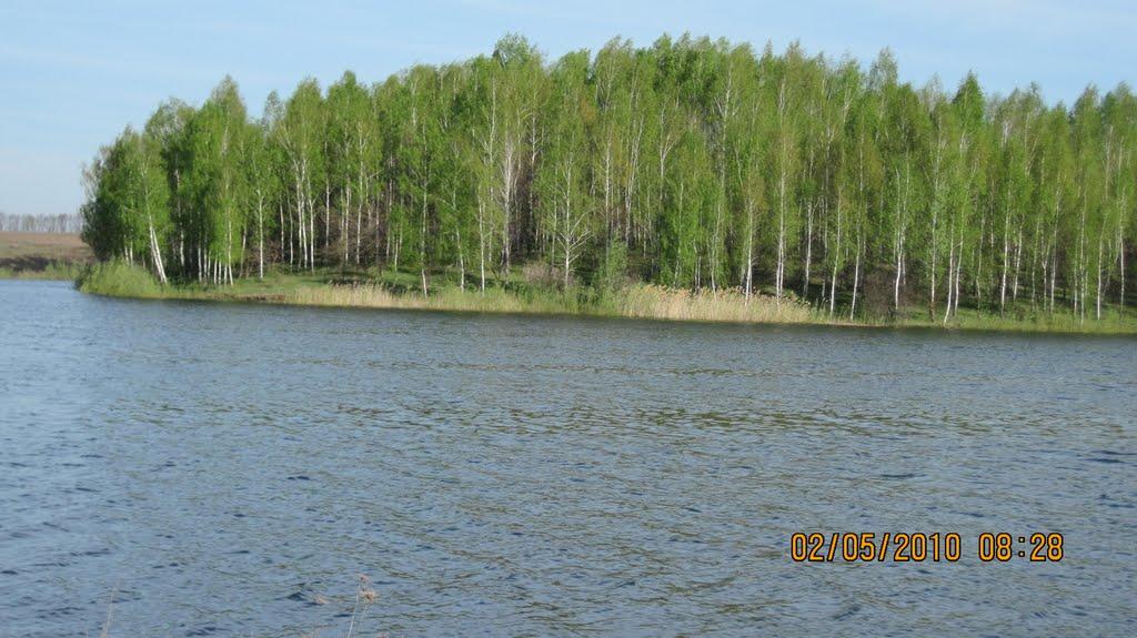 Бондарі з panoramio.com - Бондарі