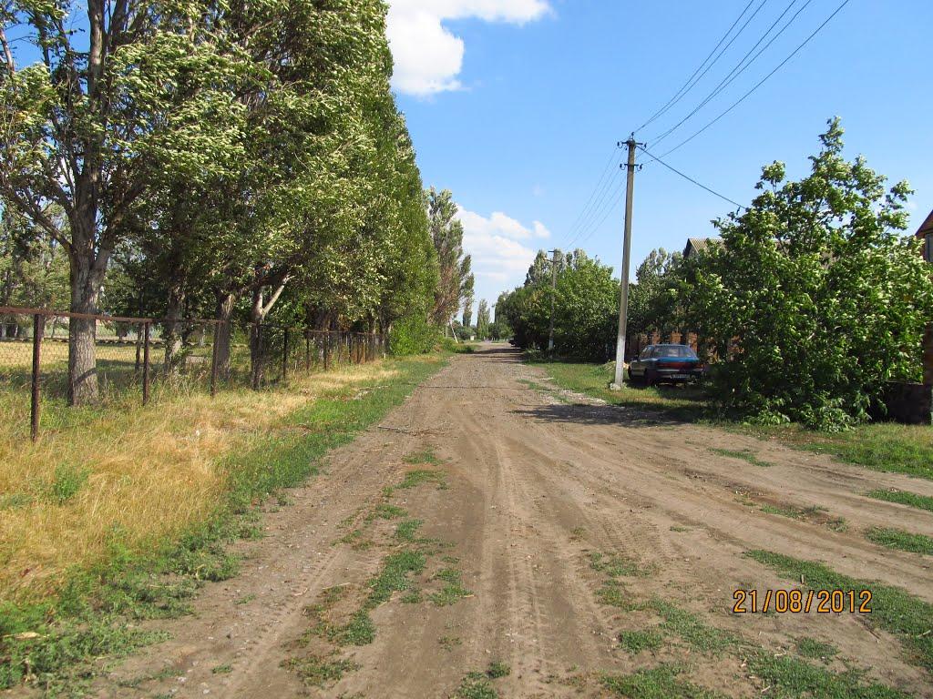 Новогорівка з panoramio.com - Новогорівка