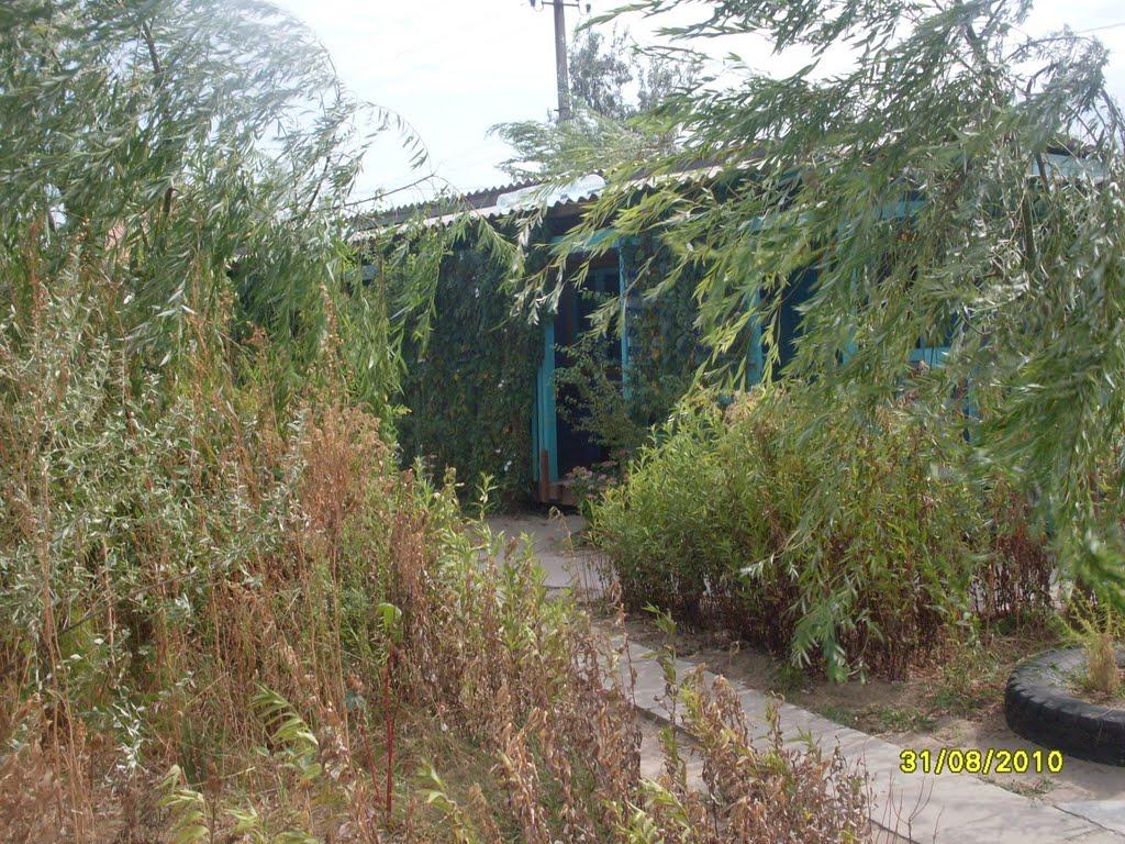 Біленьке з panoramio.com - Біленьке