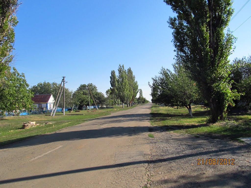 Новогорівка з panoramio.com - Новогорівка