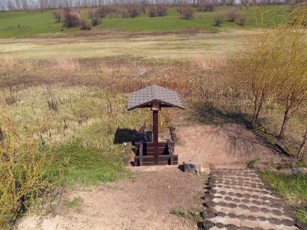 Суха Балка з panoramio.com - Суха Балка