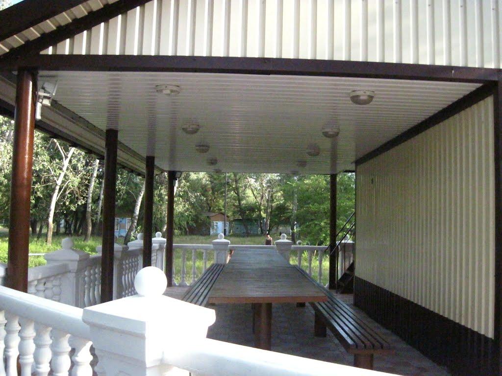 Кияшки з panoramio.com - Кияшки