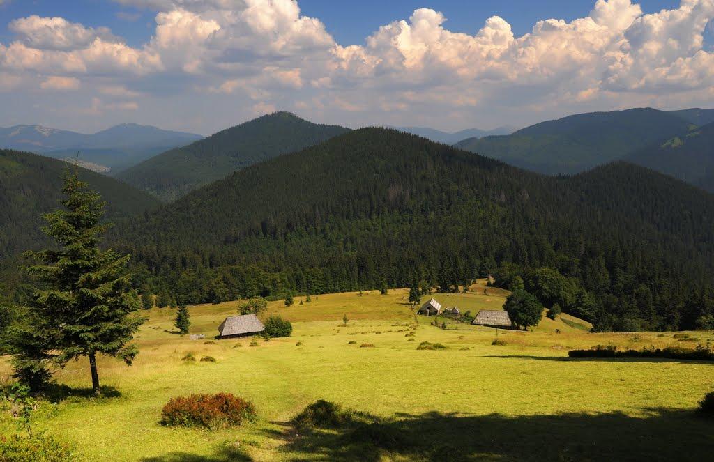 Синевирська Поляна з panoramio.com - Синевирська Поляна