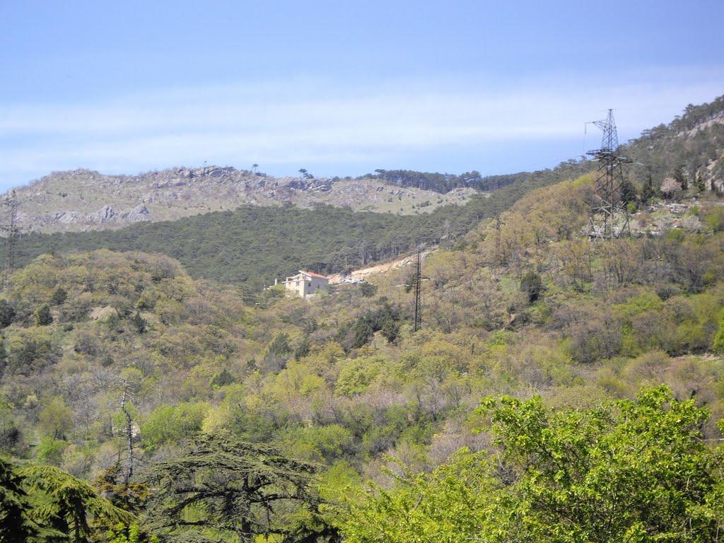 Нікіта з panoramio.com (ч.2) - Нікіта