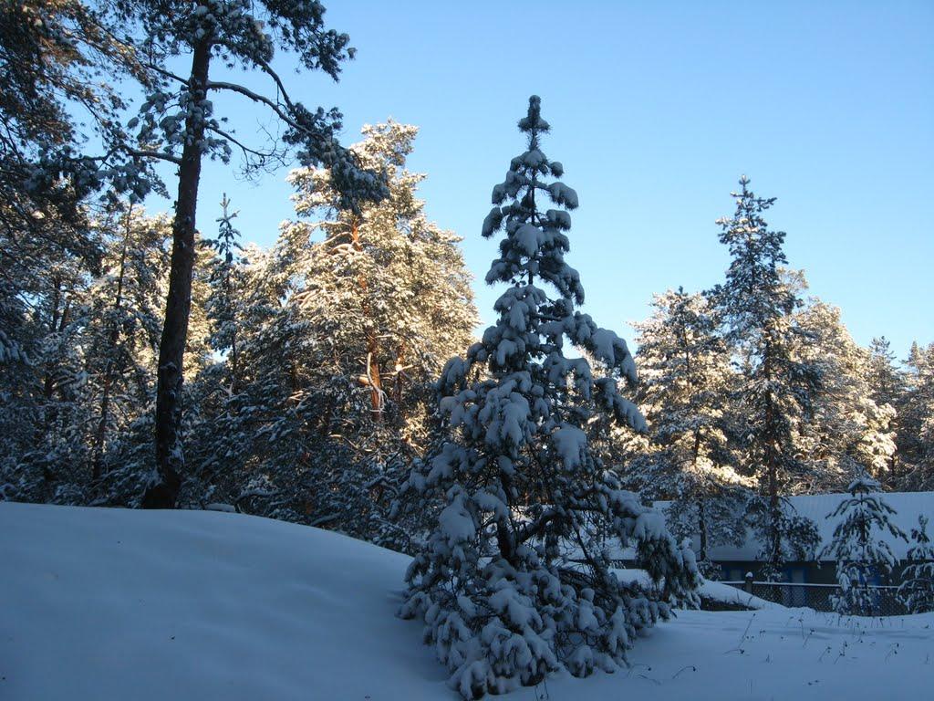 Яцьківка з panoramio.com - Яцьківка