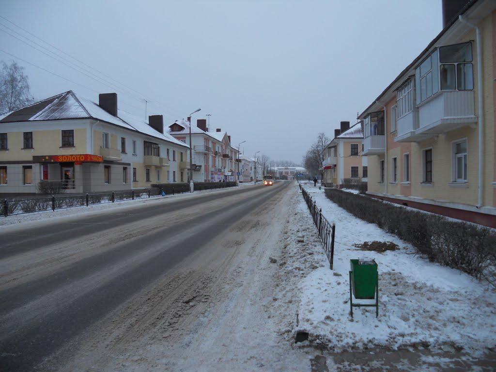 Плетенівка з panoramio.com - Плетенівка