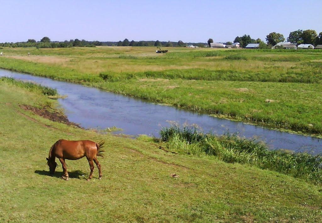 Нивиці з panoramio.com - Нивиці