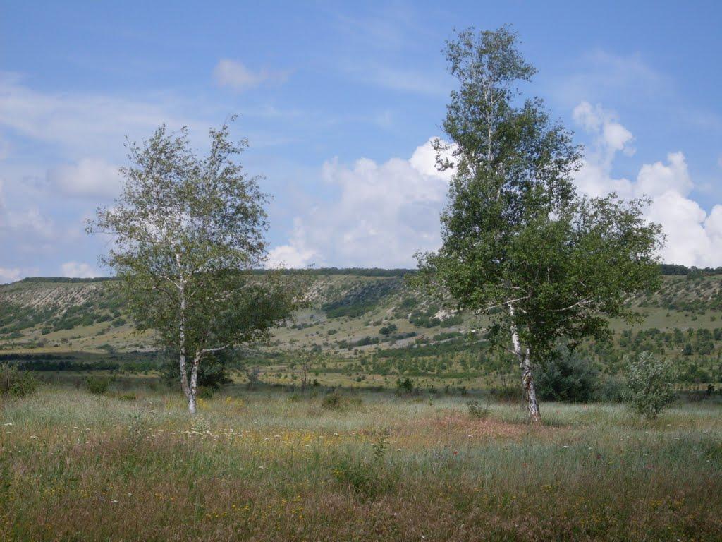 Холодівка з panoramio.com - Холодівка