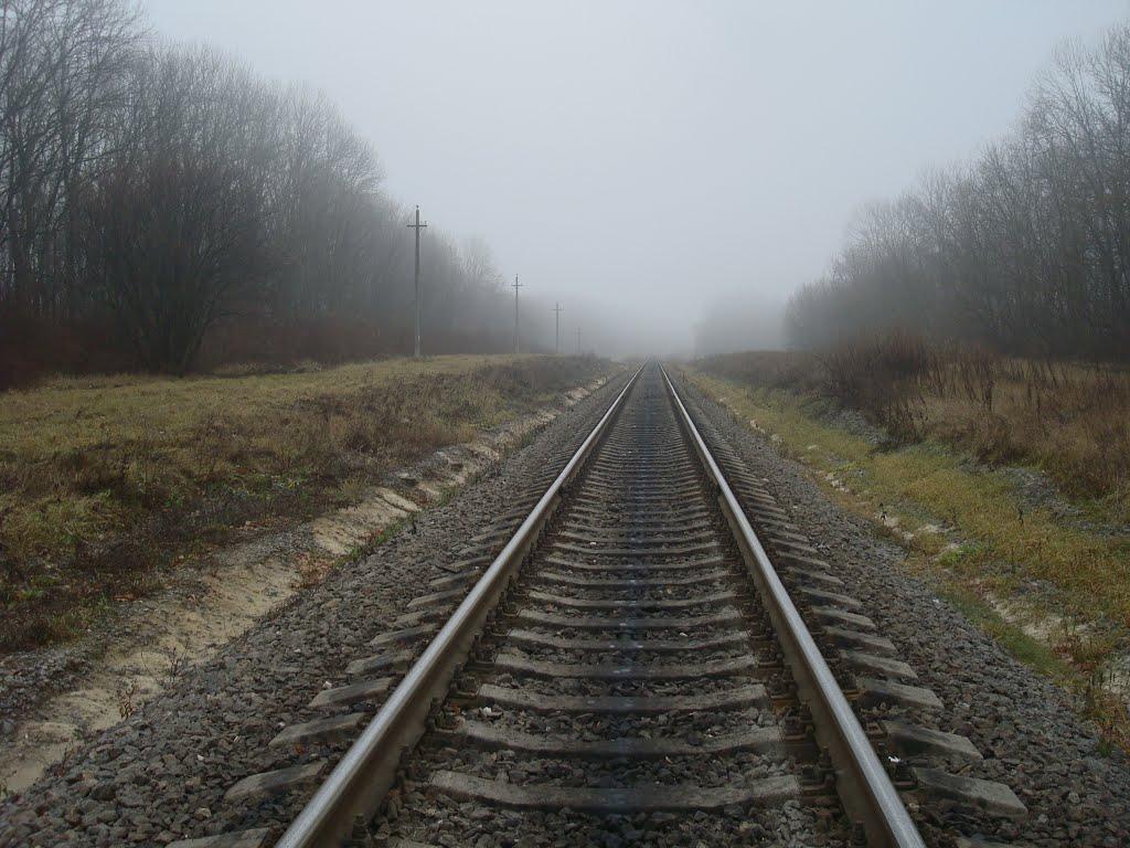 Соколівка з panoramio.com - Соколівка