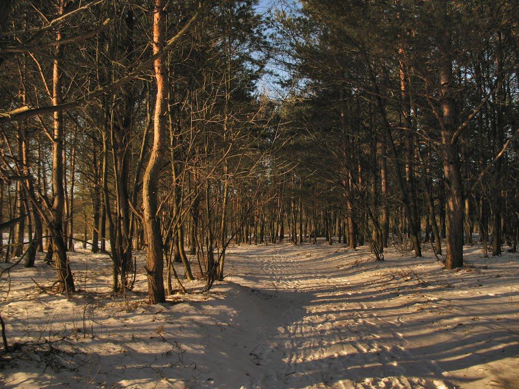 Ківерці з panoramio.com - Ківерці