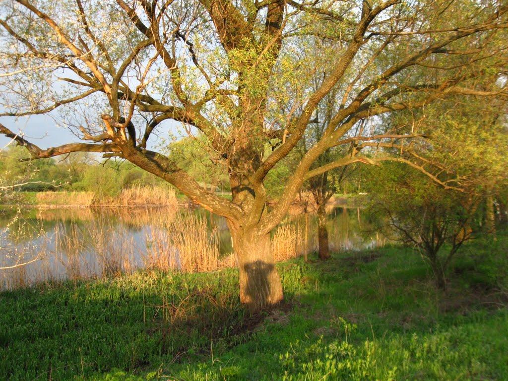 Райгородок з panoramio.com - Райгородок