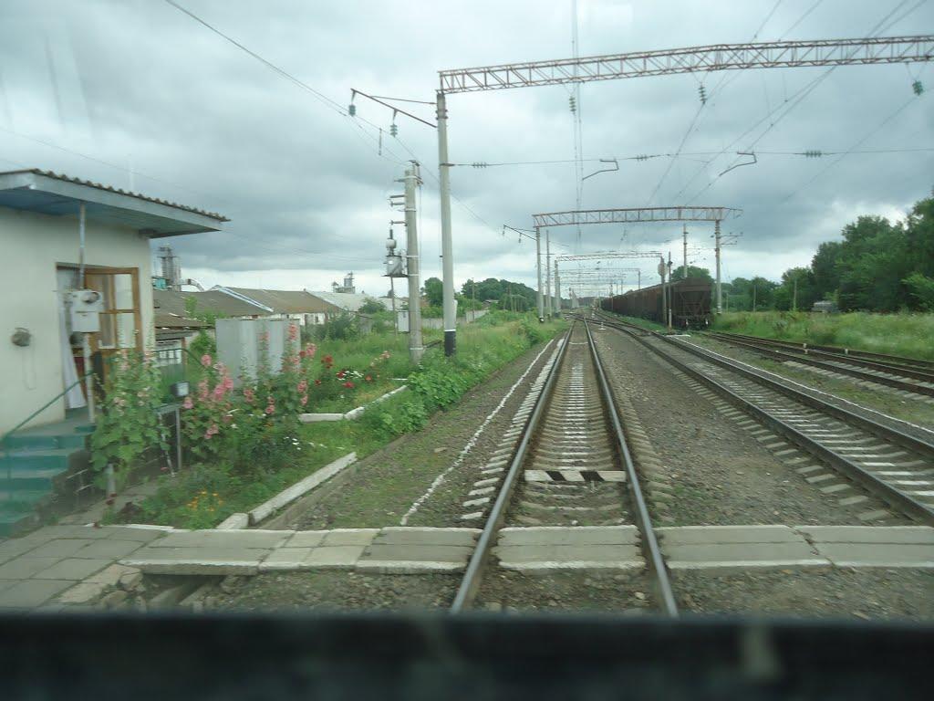 Війтівці з panoramio.com - Війтівці