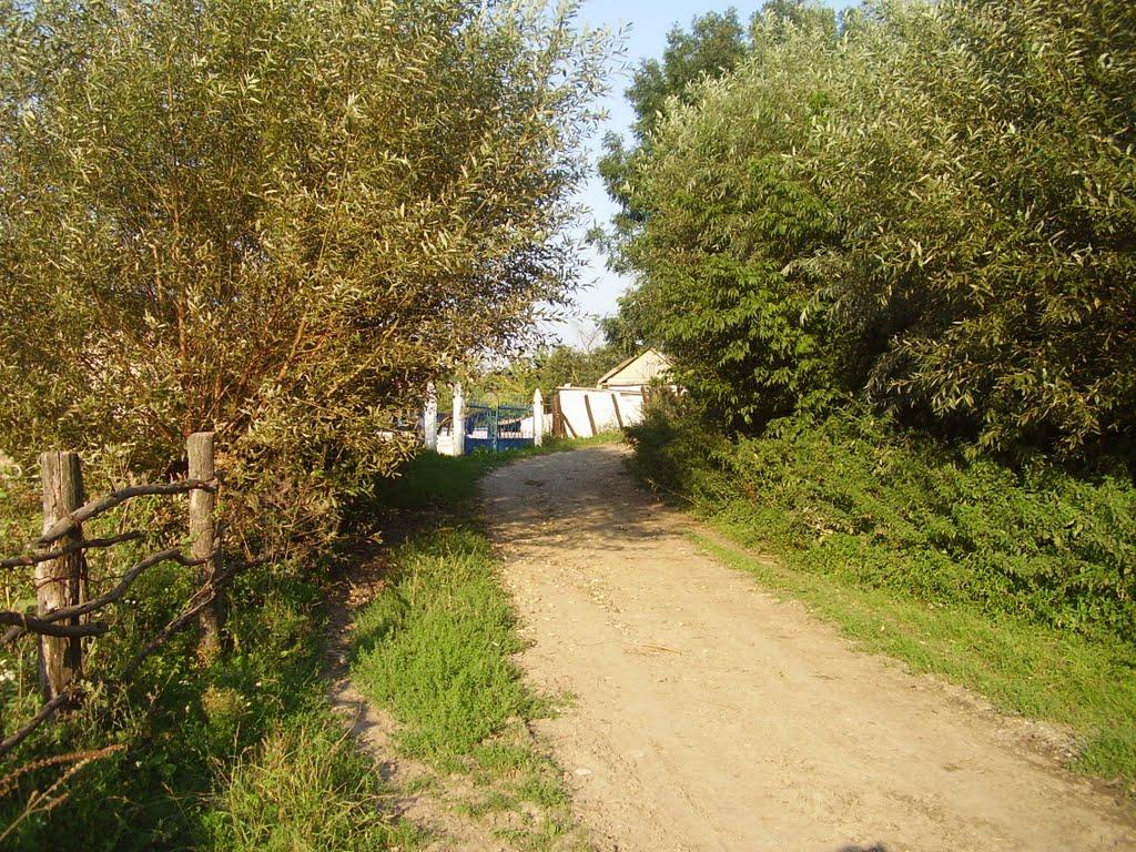 Гвіздівці з panoramio.com - Гвіздівці