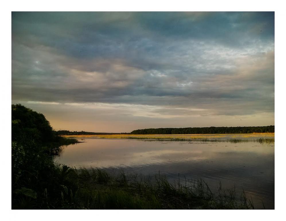 Липа з panoramio.com - Липа