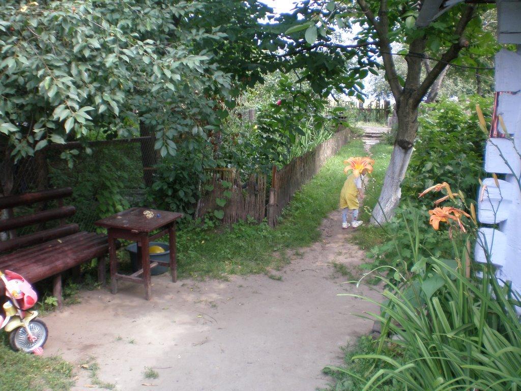 Дерев'яне з panoramio.com - Дерев'яне