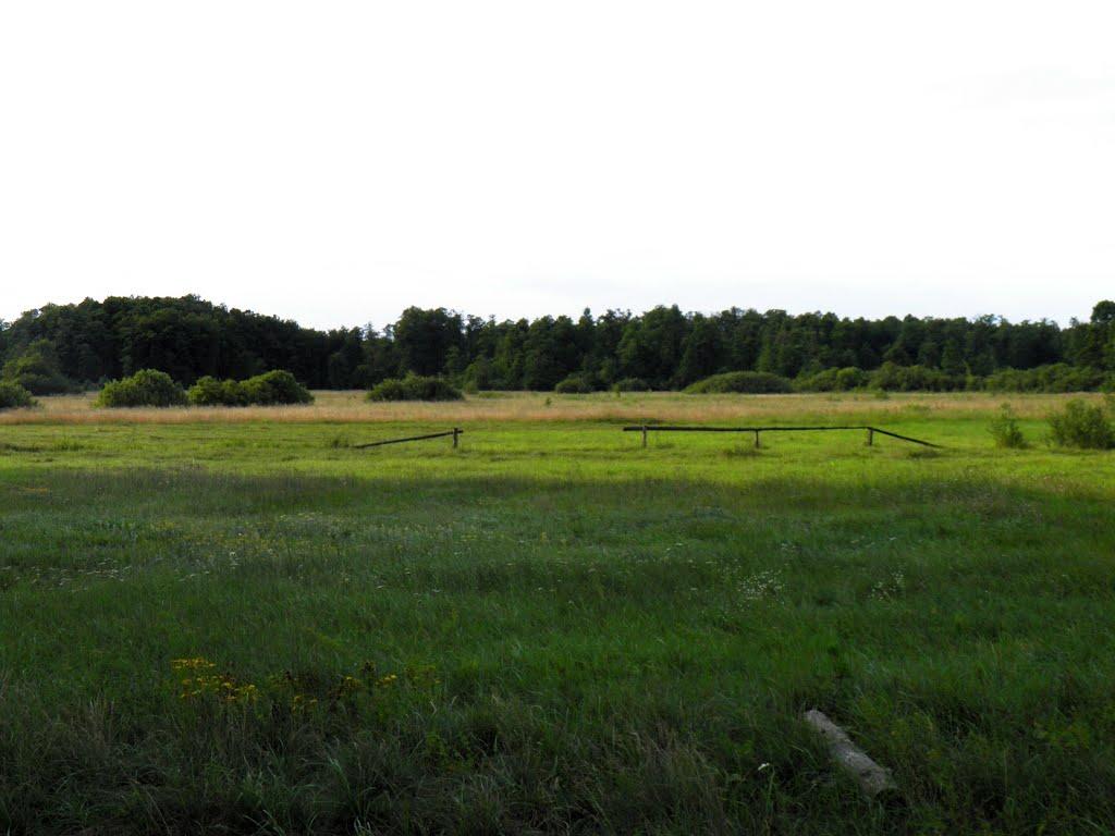 Городок з panoramio.com - Городок