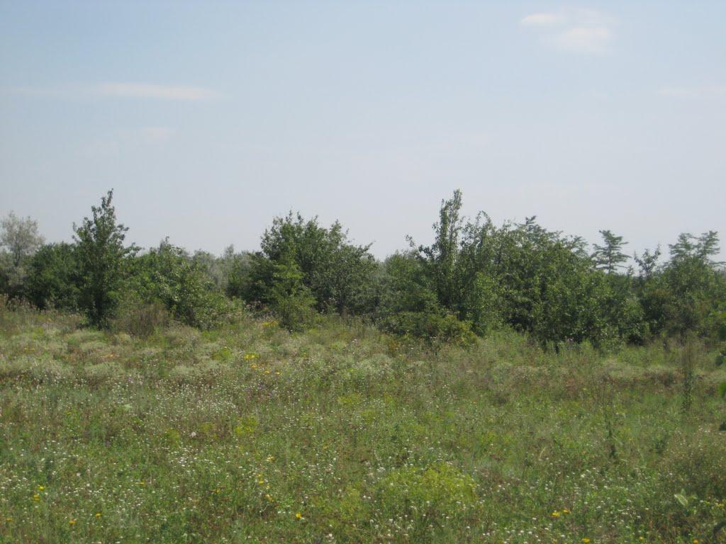 Інгулка з panoramio.com - Інгулка