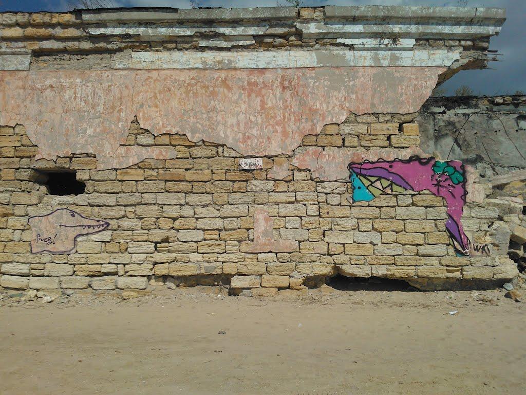 Кошари з panoramio.com - Кошари