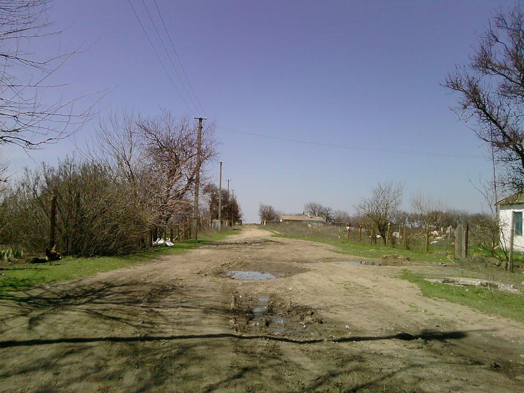 Волочаївка з panoramio.com - Волочаївка