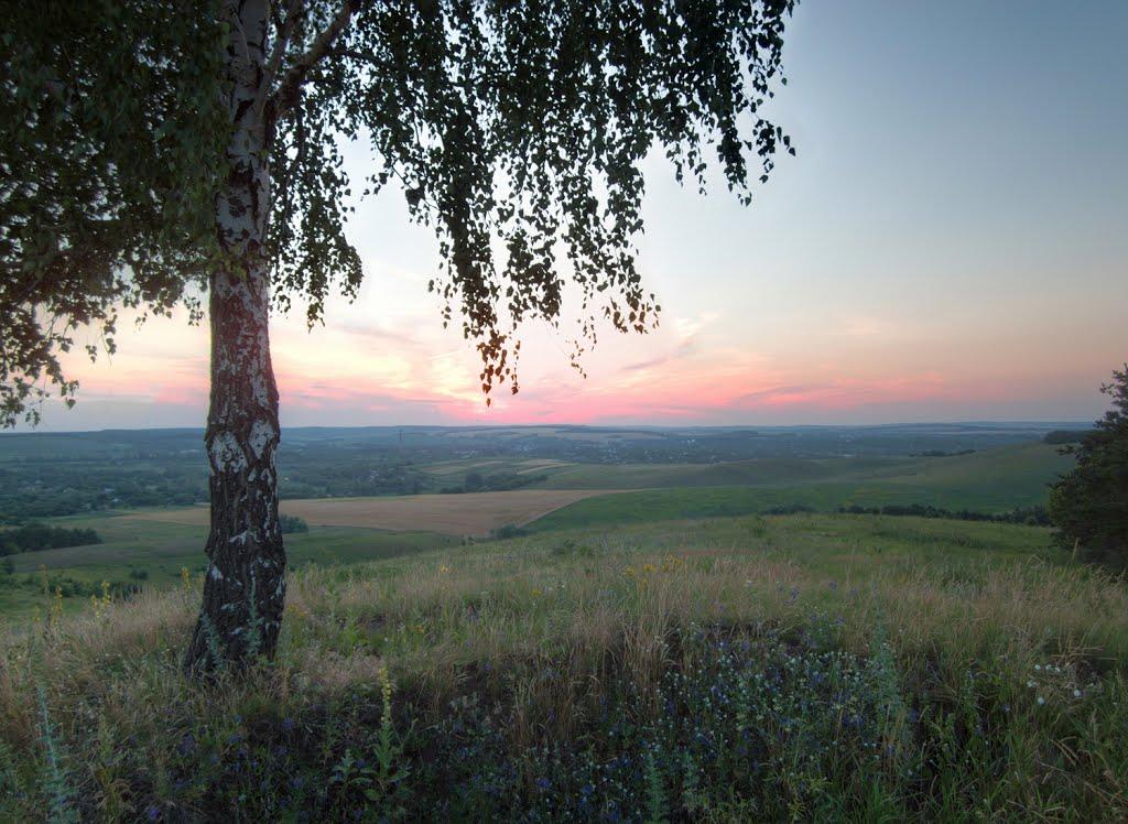 Городище з panoramio.com - Gorodishche