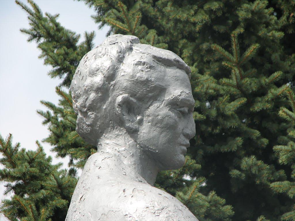 Абрамівка з panoramio.com - Абрамовка