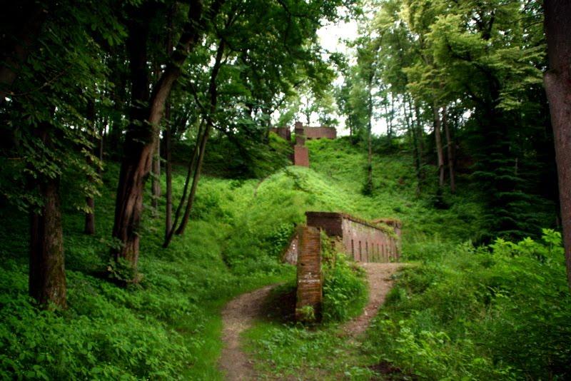 Нижанковичі з panoramio.com (ч.2) - Нижанковичи