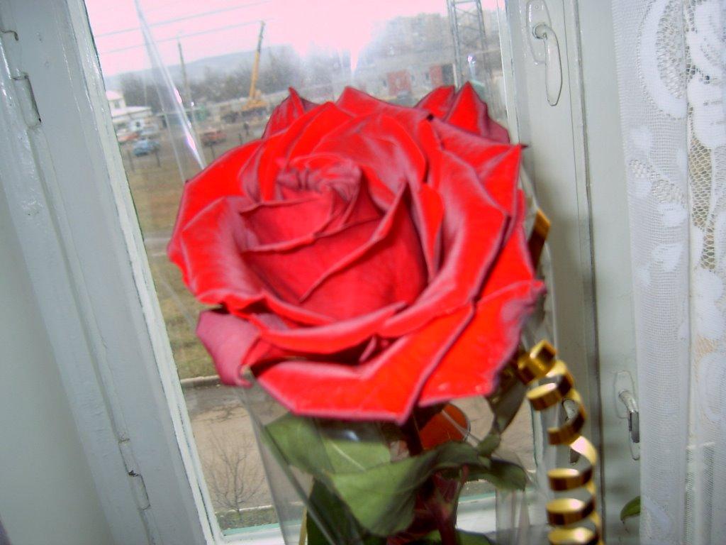 Краматорськ з panoramio.com (ч.3) - Краматорск