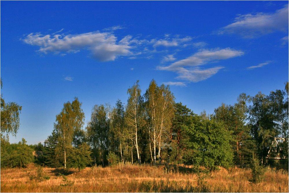 Перлявка з panoramio.com - Перлявка