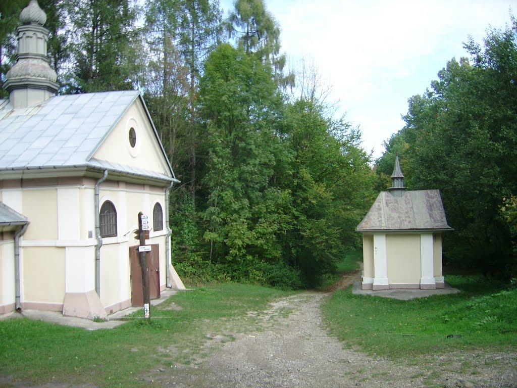 Кропивник з panoramio.com - Кропивник