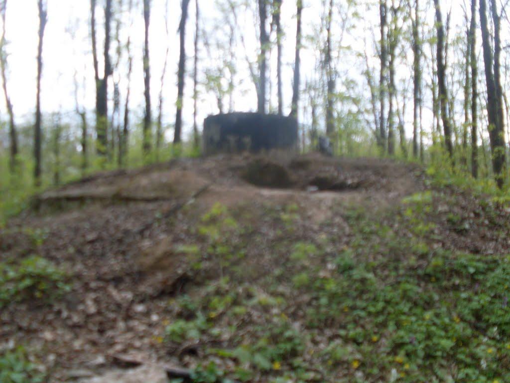 Михайлівка з panoramio.com - Михайлівка