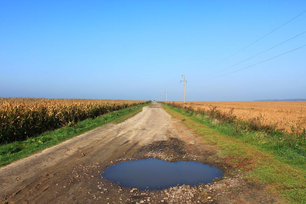 Пустельники з panoramio.com - Pustelnyky