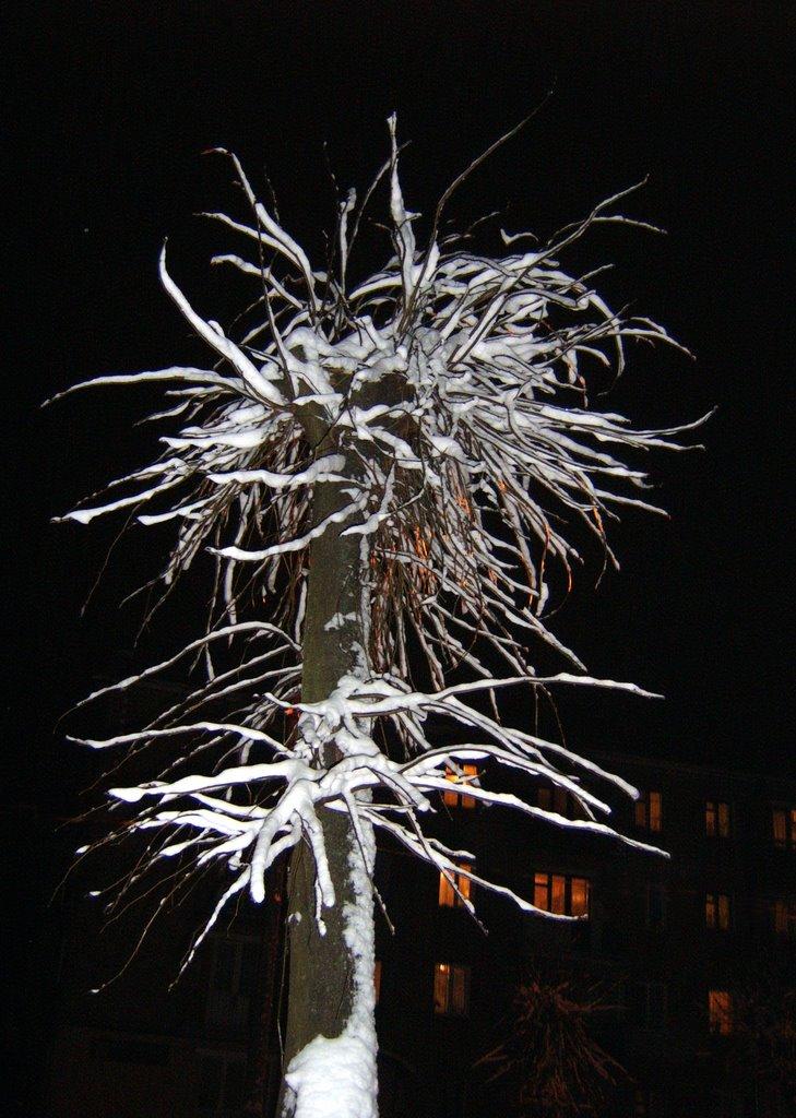 Ковель з panoramio.com (ч.2) - Ковель