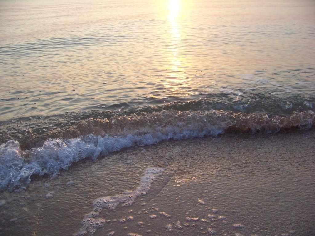 Стрілкове з panoramio.com (ч.2) - Стрілкове