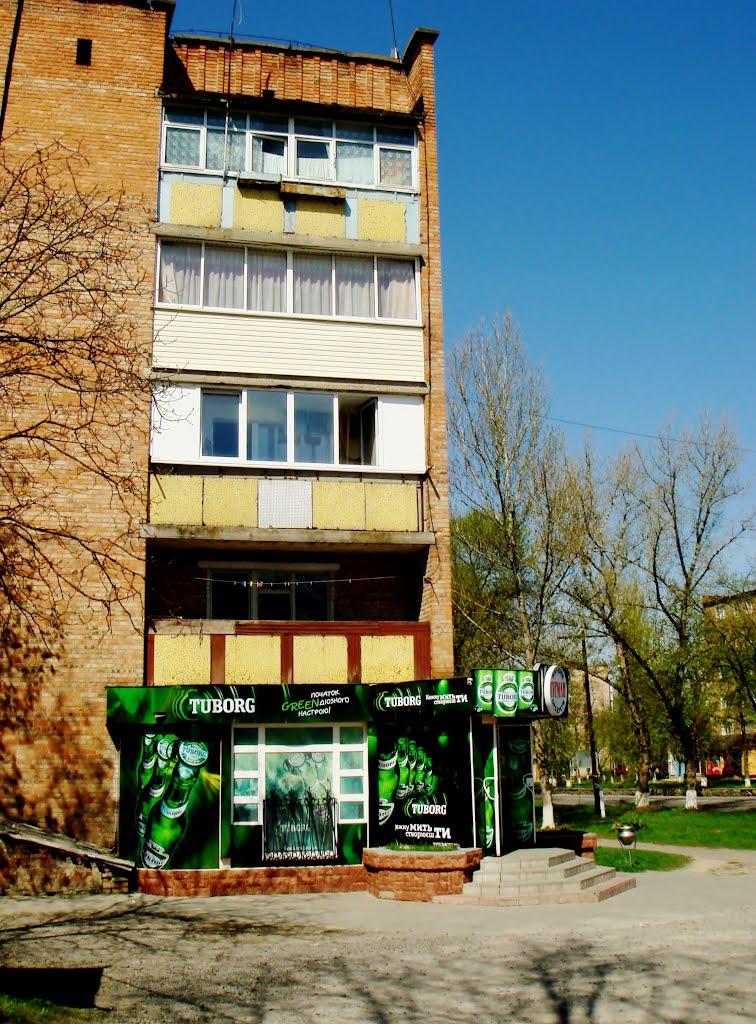 Гудзівка з panoramio.com - Гудзовка