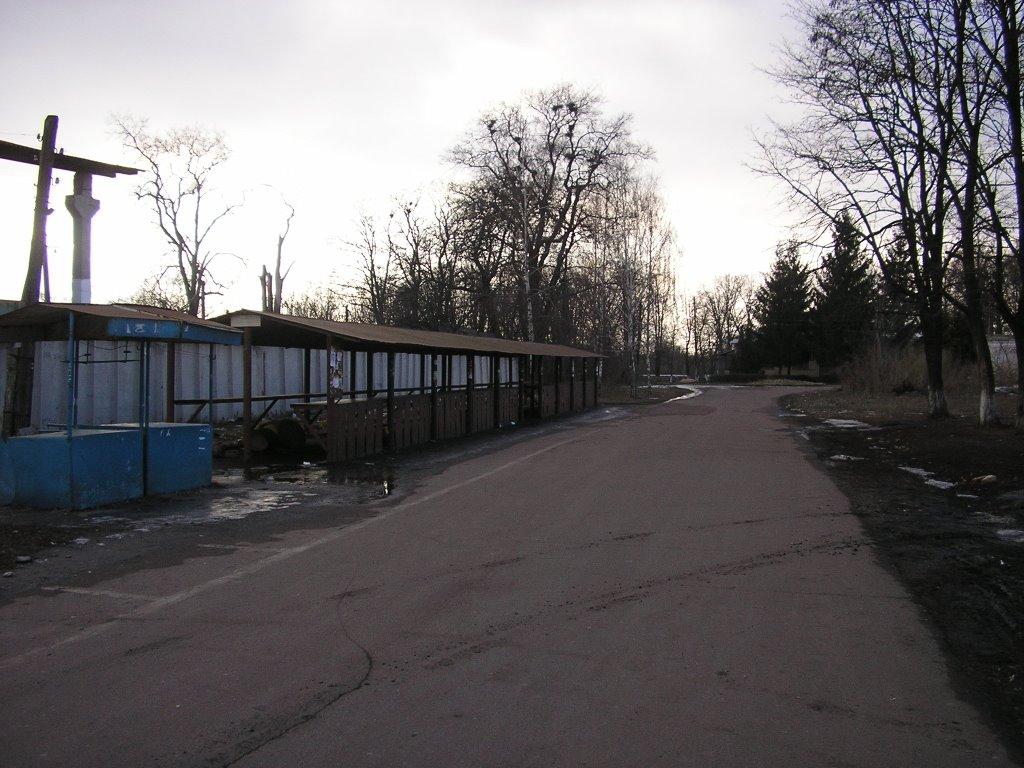 Линовиця з panoramio.com - Линовица