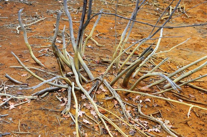 Вахрушеве з panoramio.com - Вахрушеве