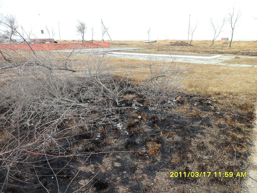 Челядінове з panoramio.com - Челядінове